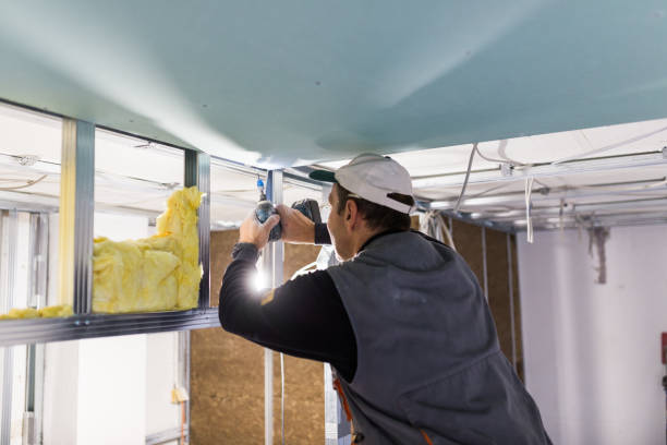 Best Fiberglass Insulation in Green Knoll, NJ